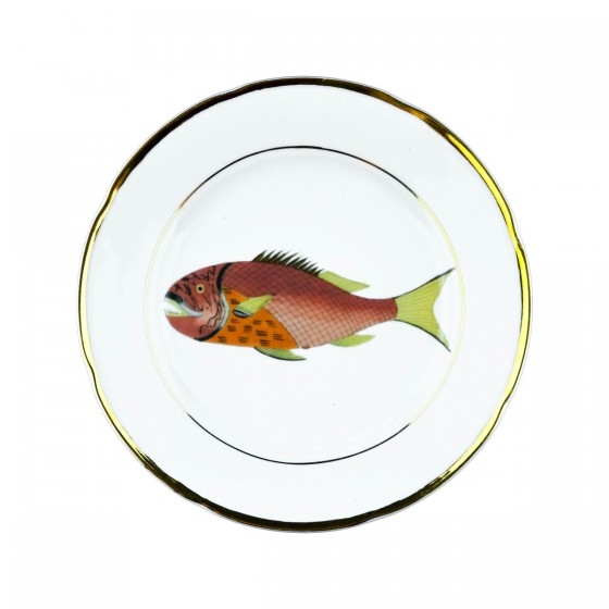 Italian Gold 2 (23cm)